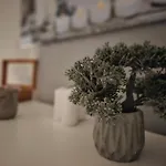 Astorya Boutique Hotel & Spa 4*