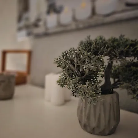 Wellness&spa Astorya 4*