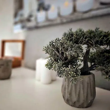 Szálloda Wellness&spa Astorya 4*