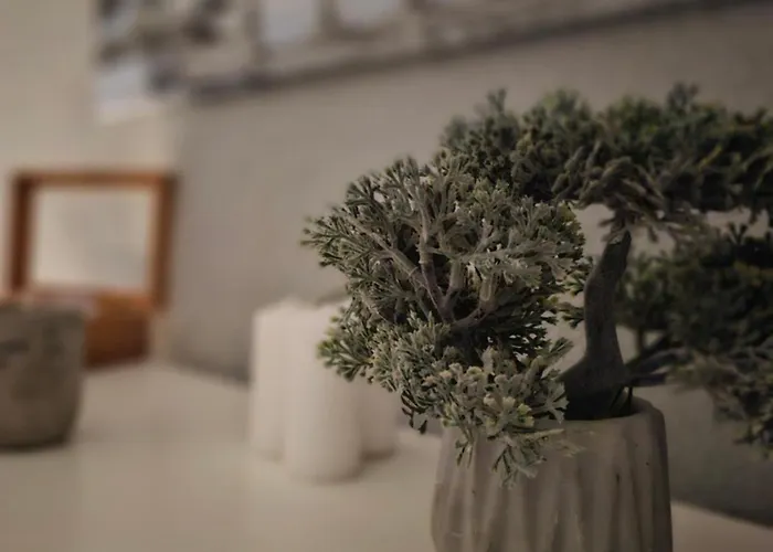 Wellness&spa Astorya 4*